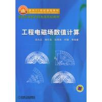 工程电磁场数值计算——面向21世纪课程教材.普通高等教育机电类规划教材