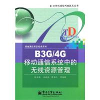 B3G/4G移动通信系统中的无线资源管理