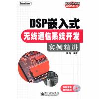 DSP嵌入式无线通信系统开发实例精讲(含光盘1张)