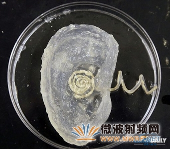 美国普林斯顿大学研究人员用3D打印出仿生耳